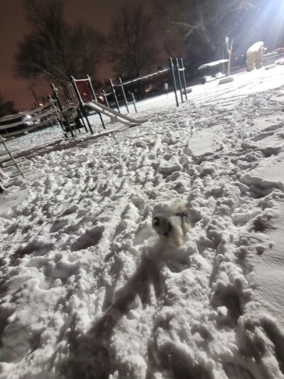 Parque latinos unidos - Camden, NJ