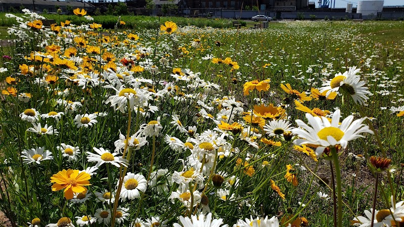 Phoenix Park - Camden, NJ