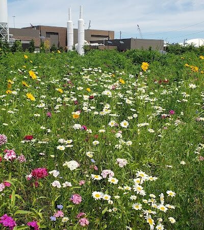 Phoenix Park - Camden, NJ
