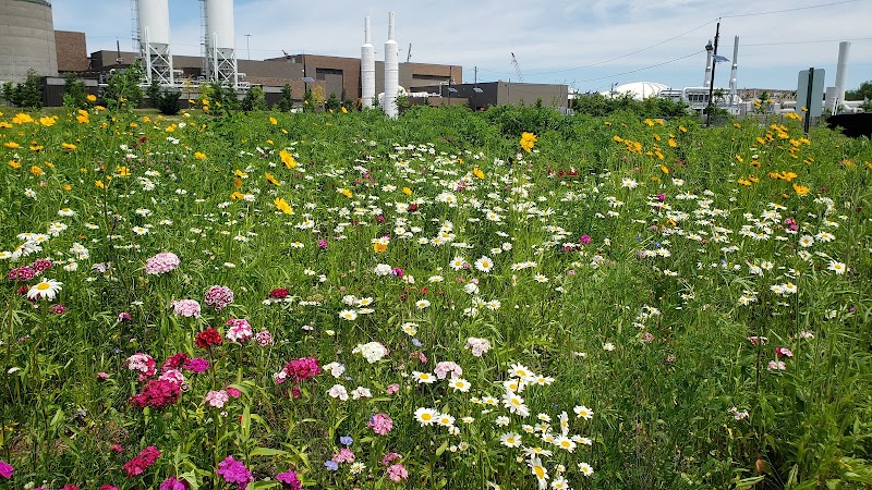 Phoenix Park - Camden, NJ
