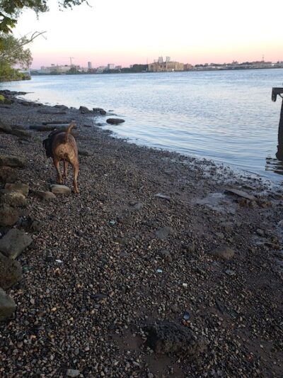 Pyne Poynt Park - Camden, NJ