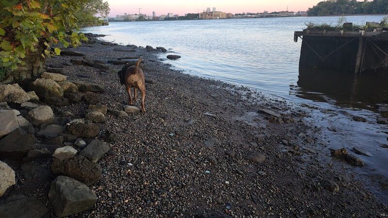 Pyne Poynt Park - Camden, NJ
