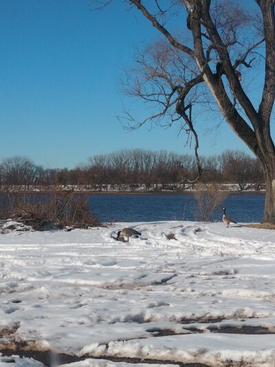 Pyne Poynt Park - Camden, NJ