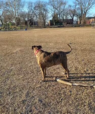 Pyne Poynt Park - Camden, NJ