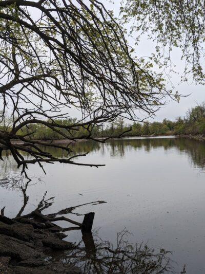 Waterfront South Raingardens - Camden, NJ