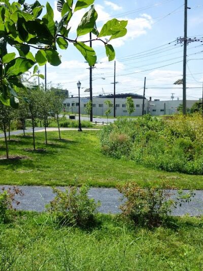 Waterfront South Raingardens - Camden, NJ