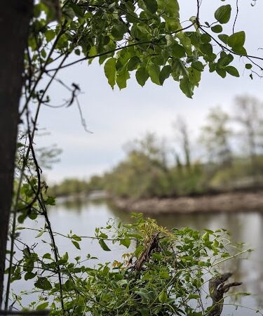 Waterfront South Raingardens - Camden, NJ
