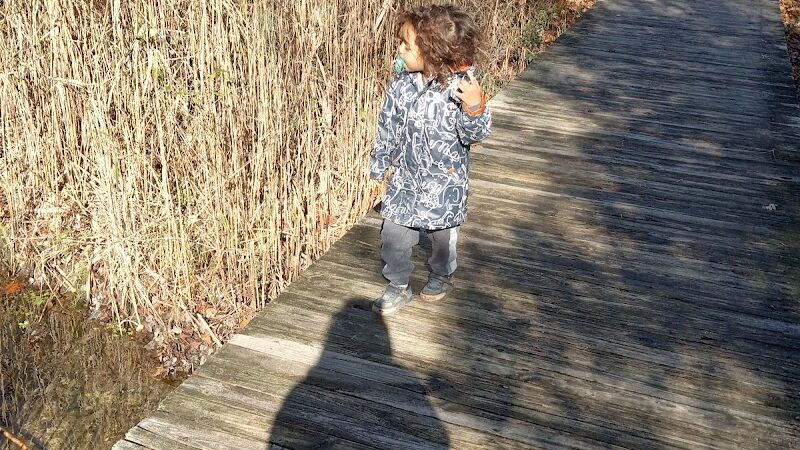 Waterfront South Raingardens - Camden, NJ