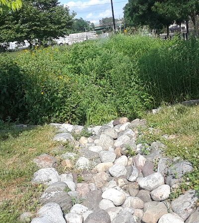 Waterfront South Raingardens - Camden, NJ