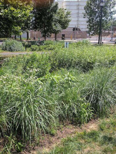 Waterfront South Raingardens - Camden, NJ