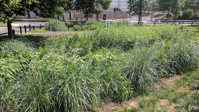 Waterfront South Raingardens - Camden, NJ