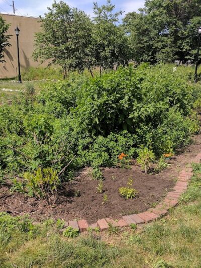 Waterfront South Raingardens - Camden, NJ