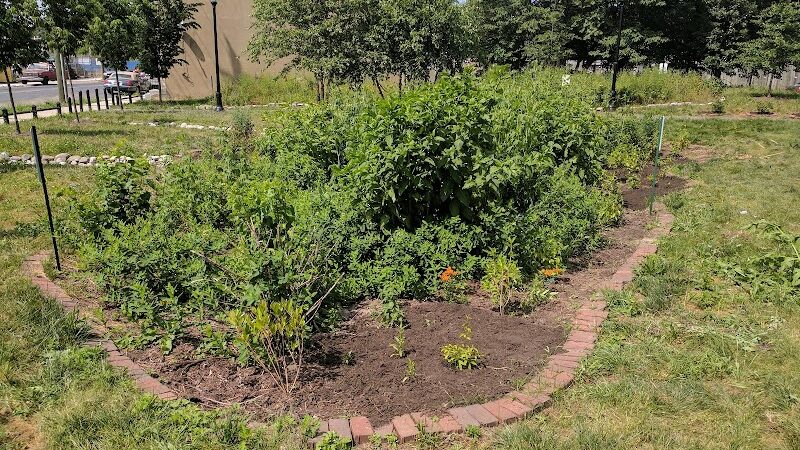 Waterfront South Raingardens - Camden, NJ