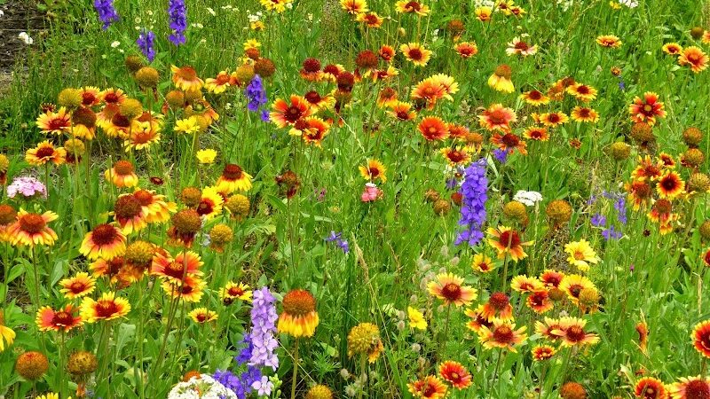 Waterfront South Raingardens - Camden, NJ