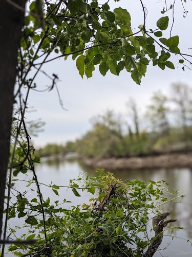 Waterfront South Raingardens - Camden, NJ