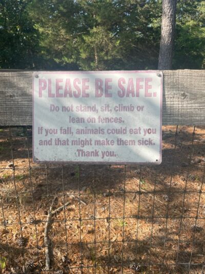 2 Fish Camden - Camden, SC