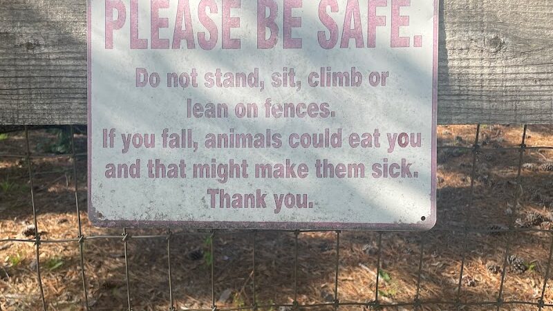 2 Fish Camden - Camden, SC