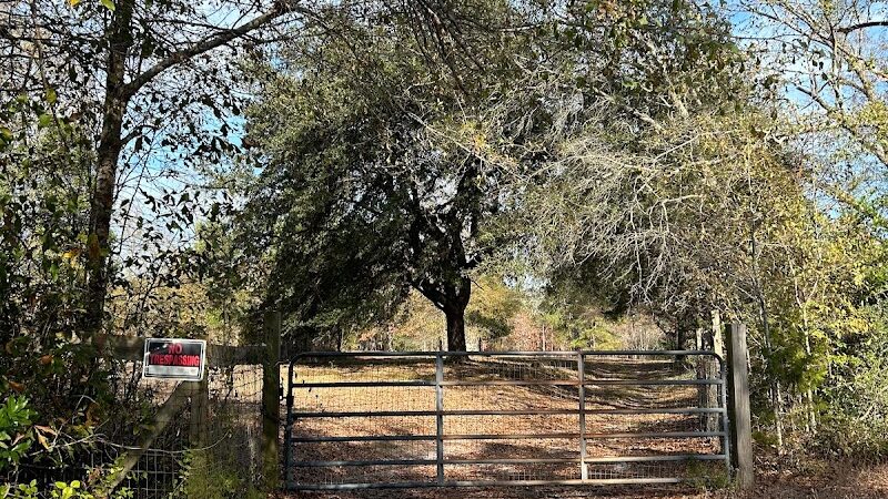 2 Fish Camden - Camden, SC