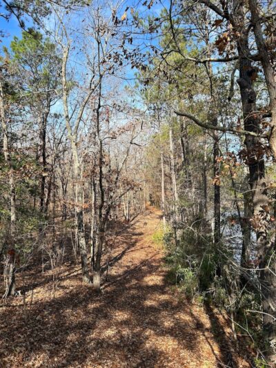 2 Fish Camden - Camden, SC