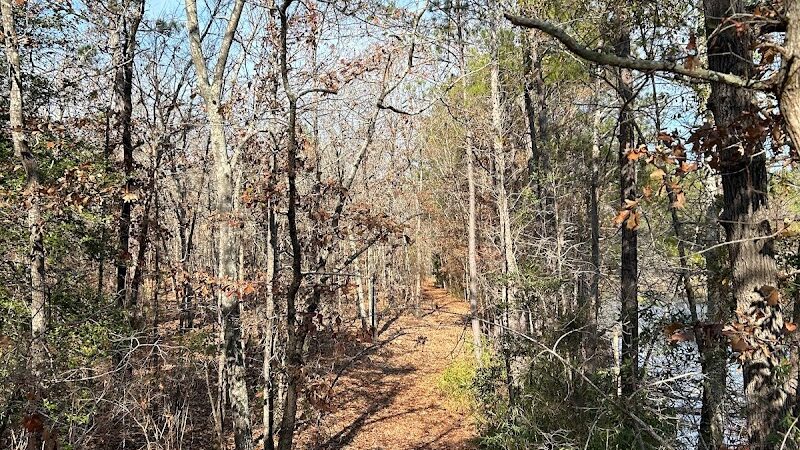 2 Fish Camden - Camden, SC