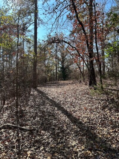 2 Fish Camden - Camden, SC