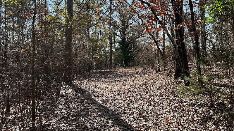 2 Fish Camden - Camden, SC