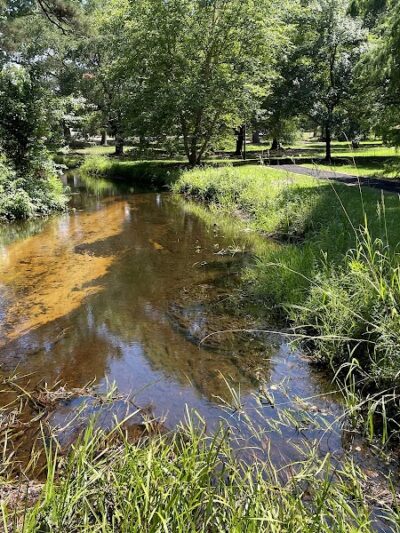 Kendall Park - Camden, SC