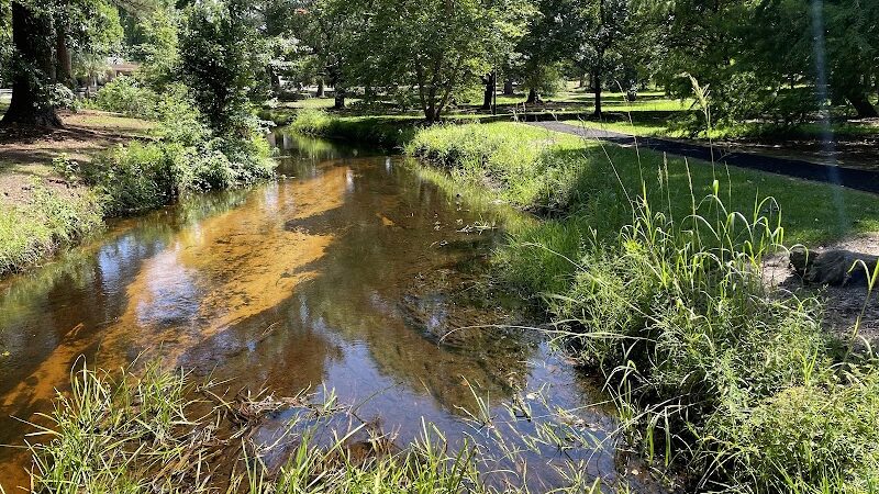 Kendall Park - Camden, SC