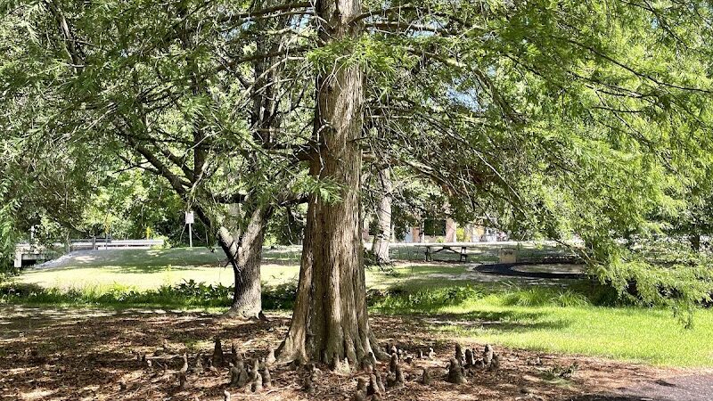 Kendall Park - Camden, SC