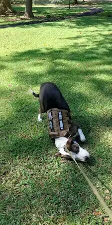 Kendall Park - Camden, SC