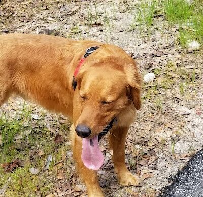 Woodward Park - Camden, SC