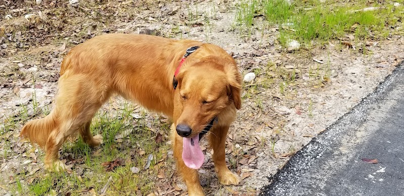 Woodward Park - Camden, SC