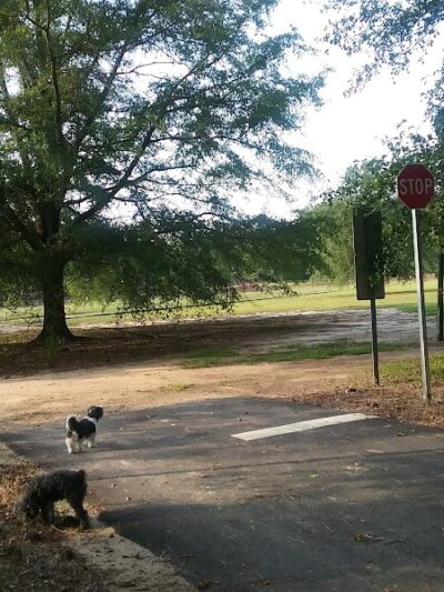 Woodward Park - Camden, SC