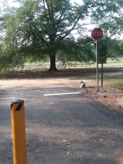 Woodward Park - Camden, SC