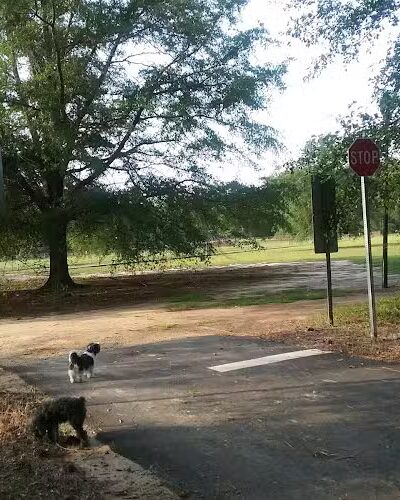 Woodward Park - Camden, SC