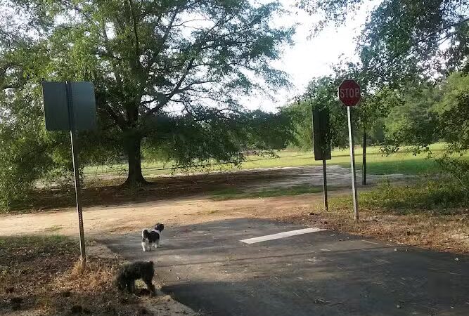 Woodward Park - Camden, SC