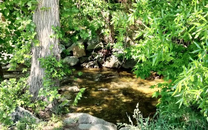 Henson Creek Park - Camp Springs, MD