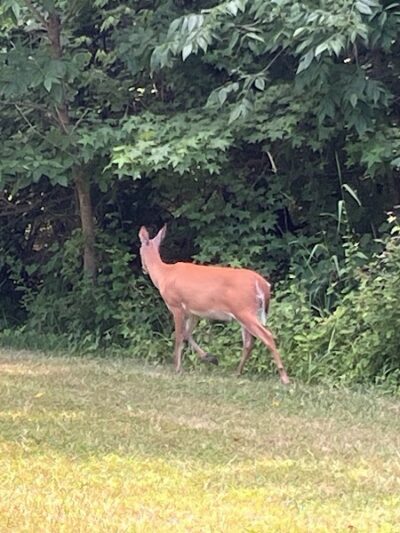 Henson Creek Park - Camp Springs, MD