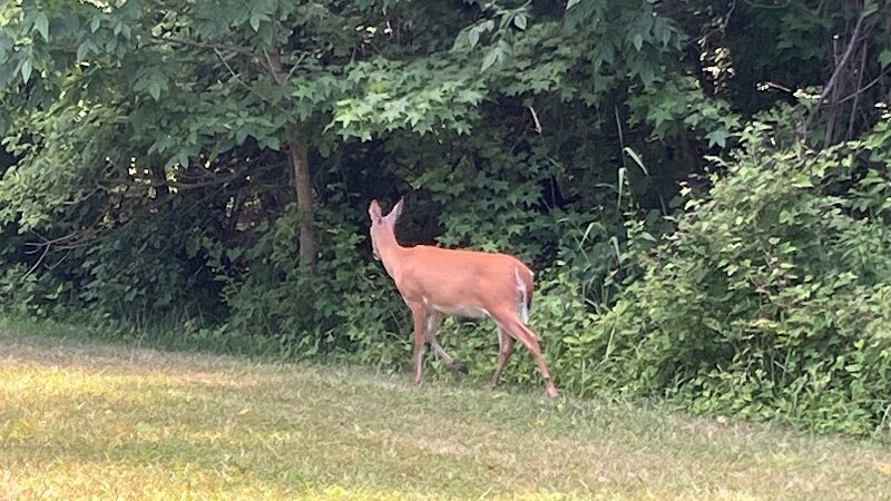 Henson Creek Park - Camp Springs, MD