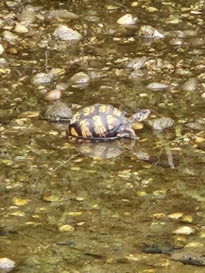 Henson Creek Park - Camp Springs, MD