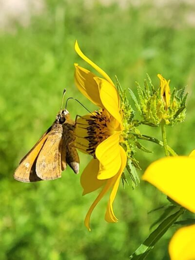 Henson Creek Park - Camp Springs, MD