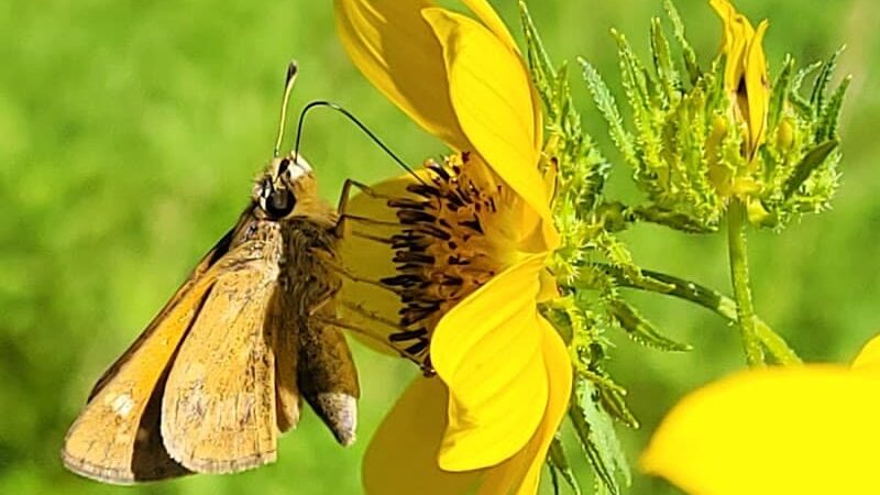 Henson Creek Park - Camp Springs, MD