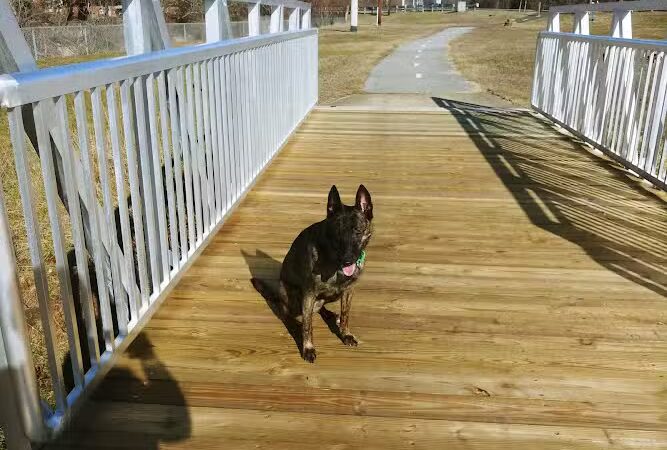 Henson Creek Park - Camp Springs, MD