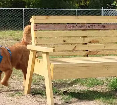 Canadian Lakes Dog Park - Canadian Lakes, MI