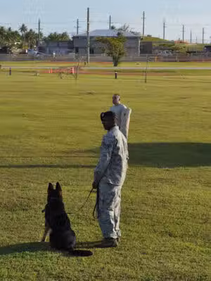 Canine Dominion, Inc - ,