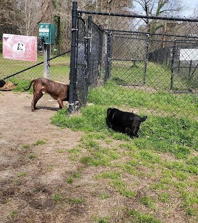 Canton Paw Park - Canton, GA