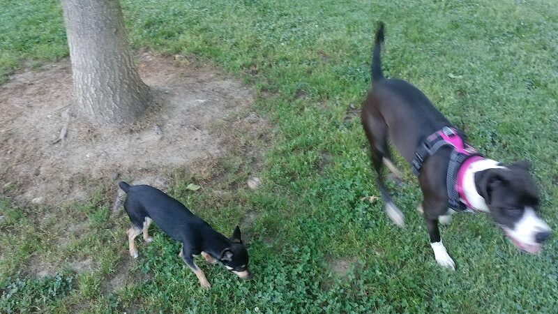 Canton Paw Park - Canton, GA