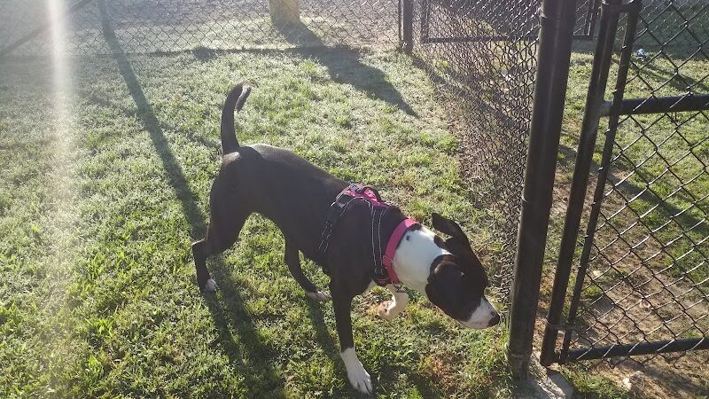 Canton Paw Park - Canton, GA