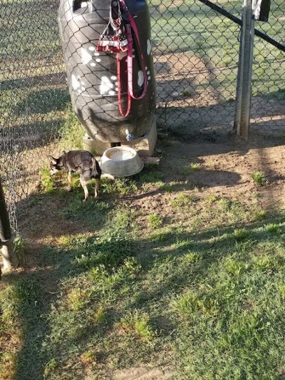 Canton Paw Park - Canton, GA