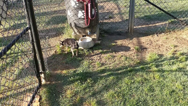 Canton Paw Park - Canton, GA